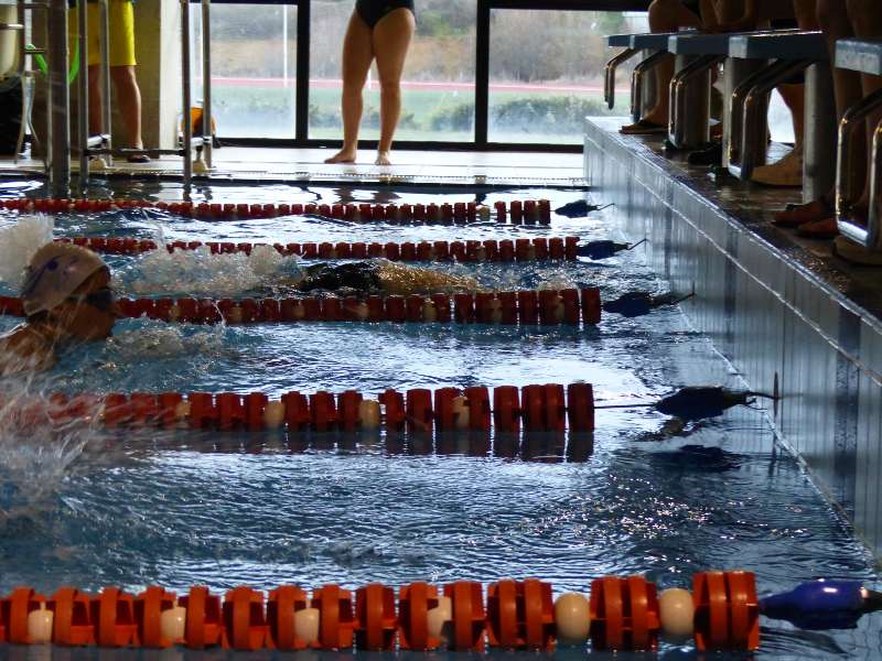 Competición ADS de natación en Collado Villalba el 19 de febrero